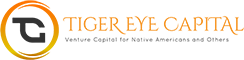 Responsive WordPress Website for Tiger Eye Capital By Brandbees.net