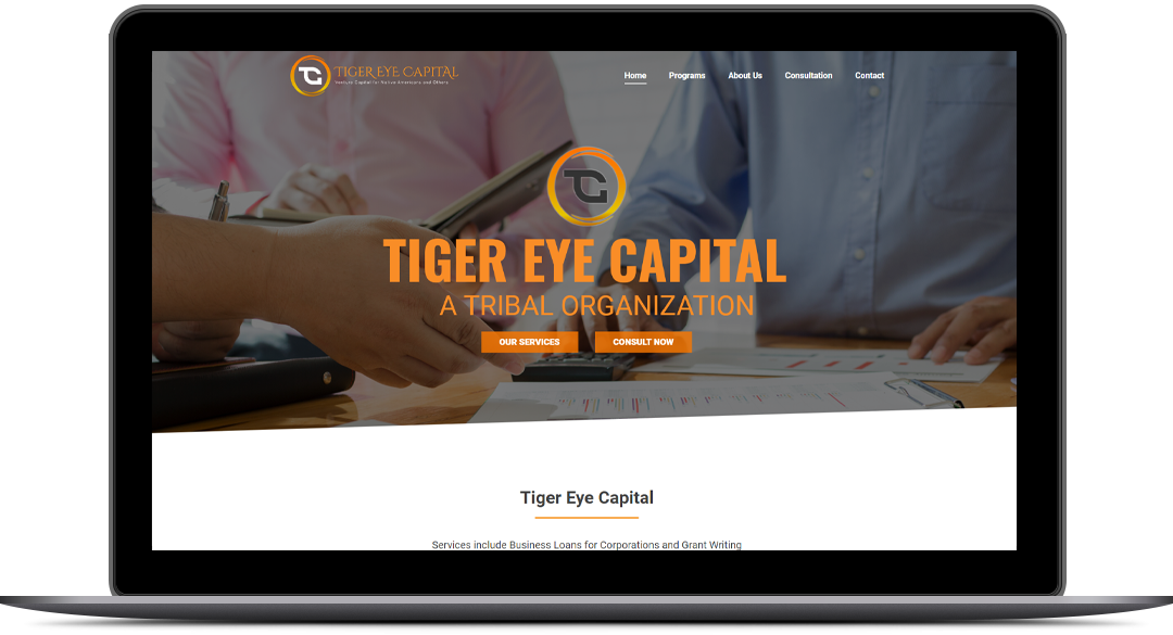 Responsive WordPress Website Design for Tiger Eye Capital By Brandbees.net