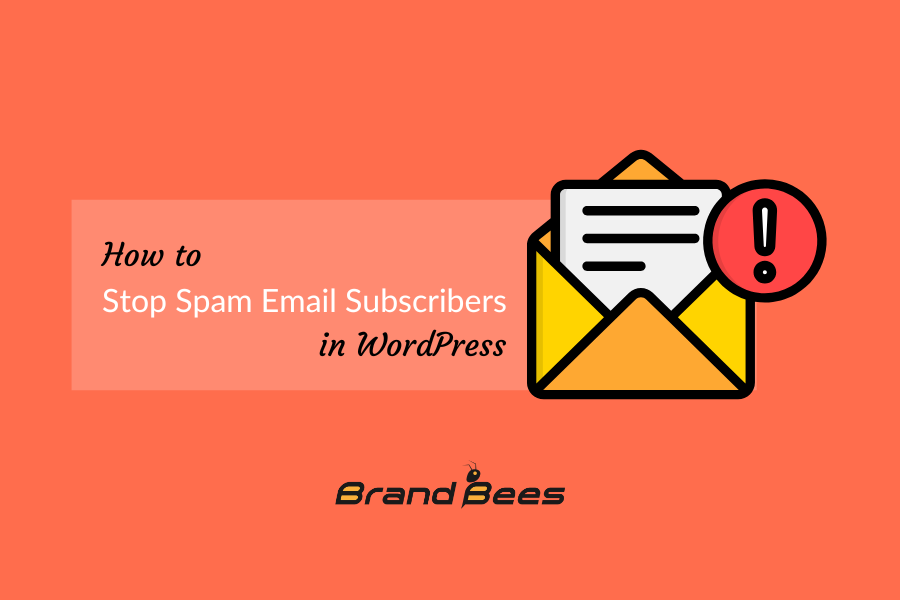 How to stop spam email subscribers in WordPress
